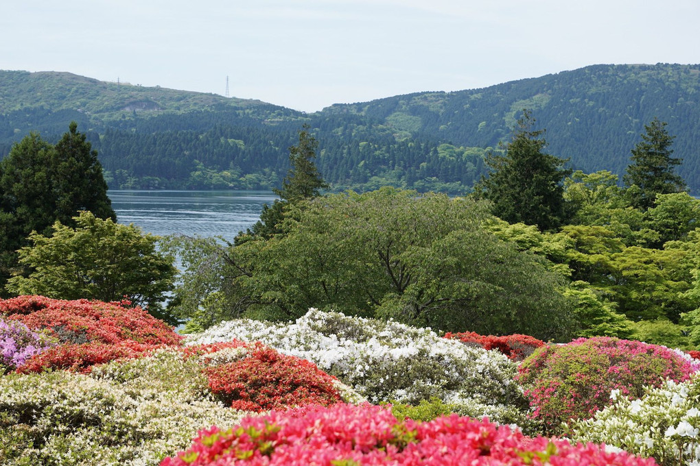 芦ノ湖湖畔