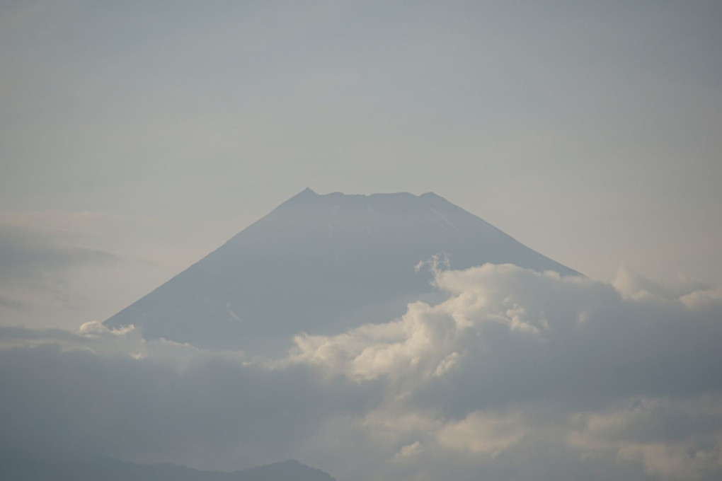 休みに見えるの久々