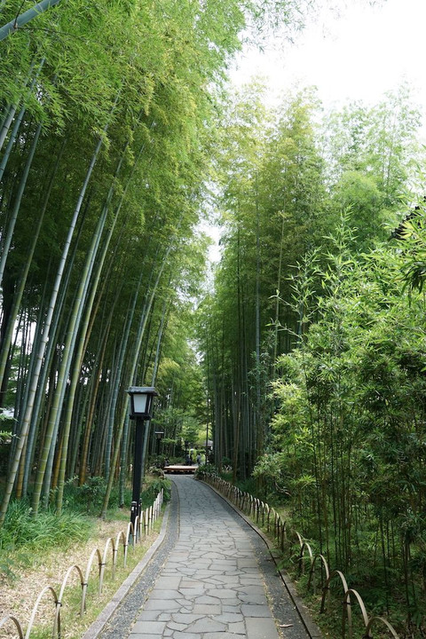 修善寺温泉の竹林の小道