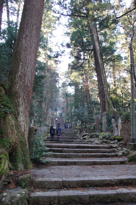 大雄山最乗寺の参道