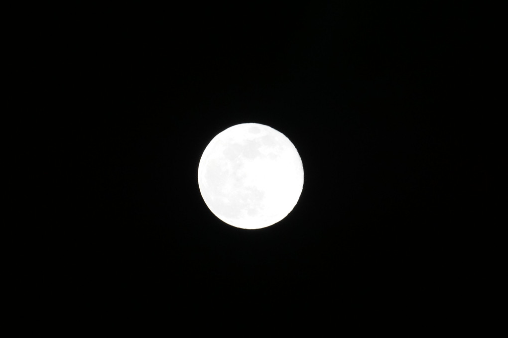 月撮った