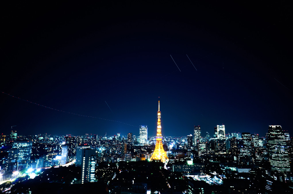 東京タワーとふたご♪