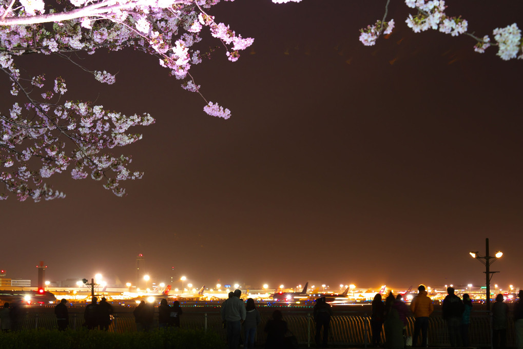 春の歓声成田空港