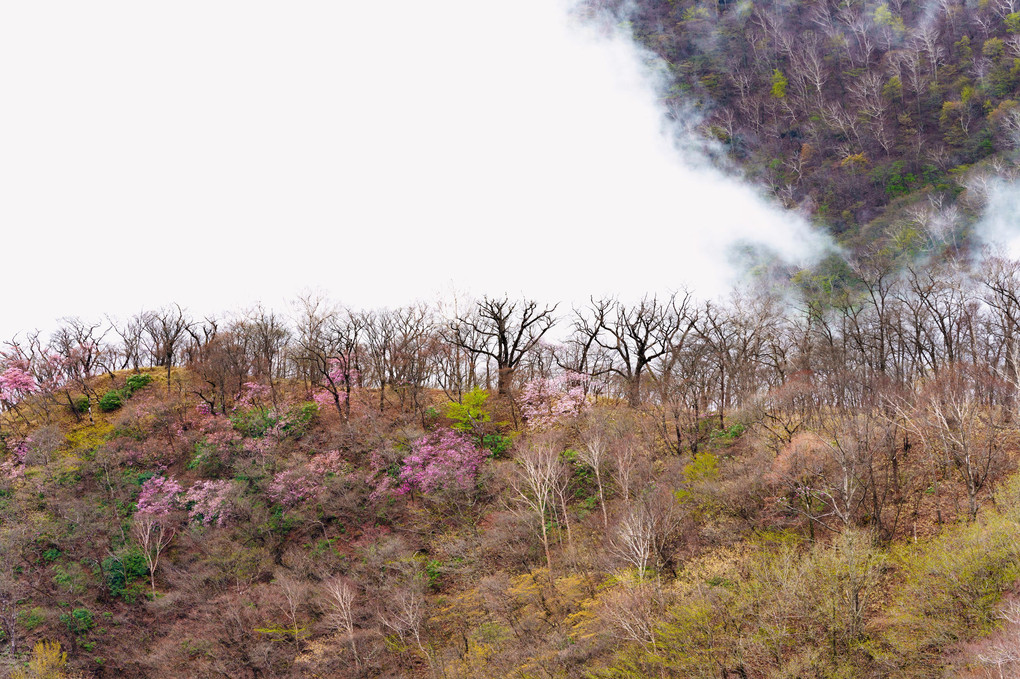 遠くに見える赤城山の春色