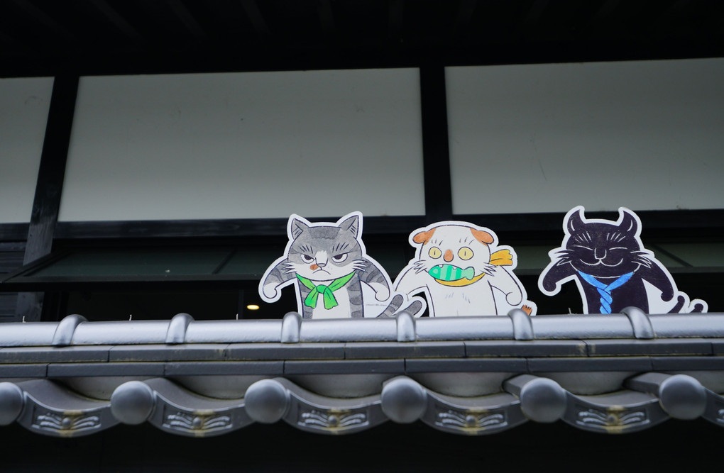 屋根の上の三猫組