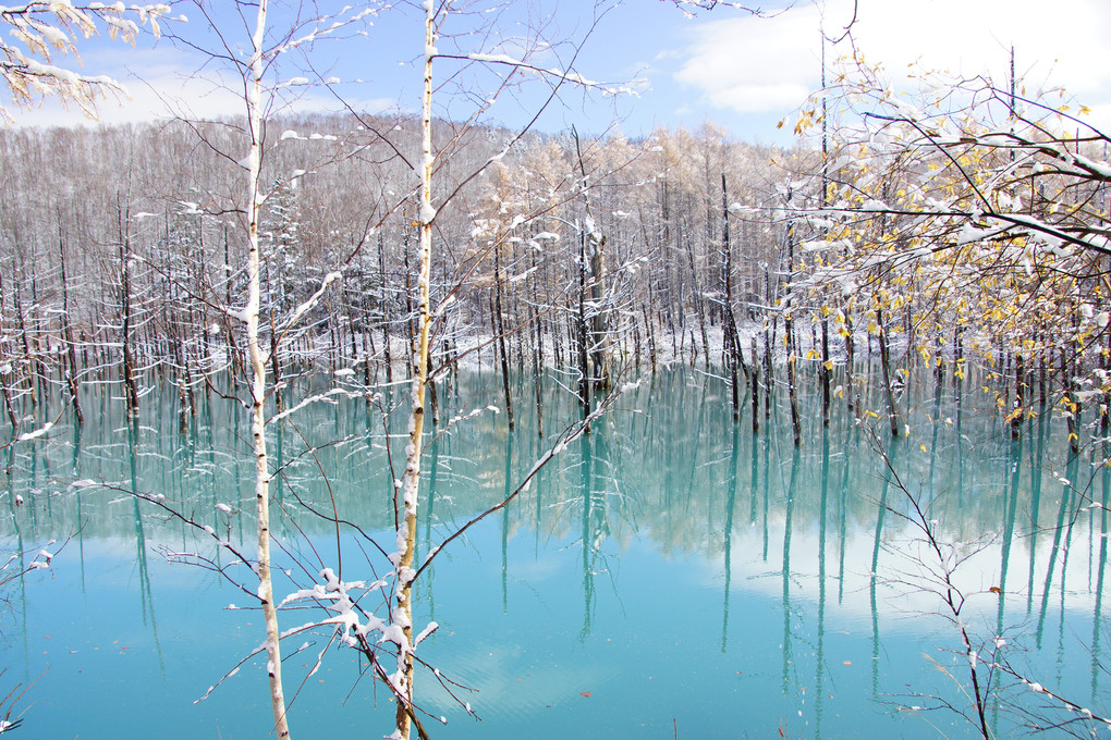 初冬の青い池　六景