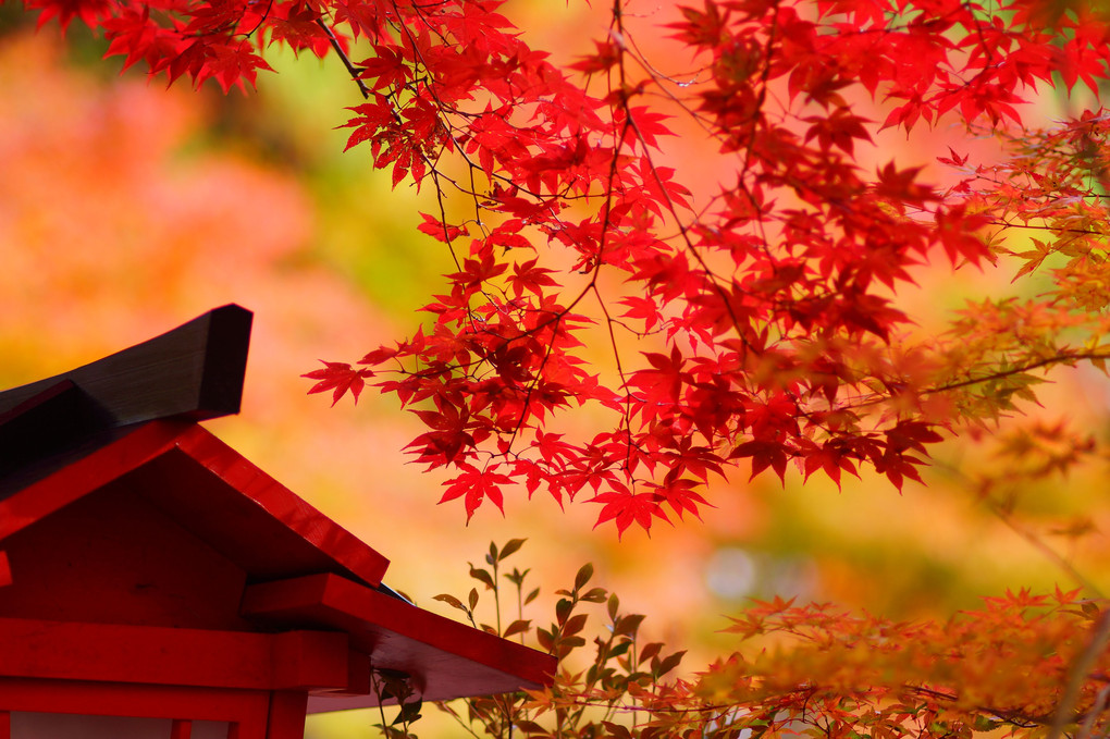 鍬山神社