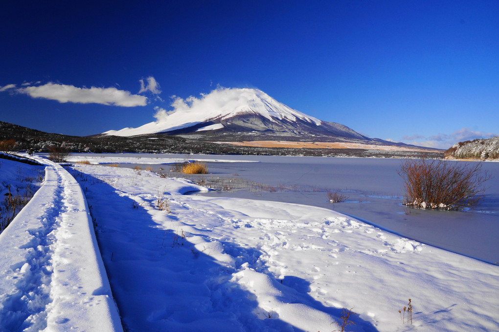 雪の遊歩道：山中湖