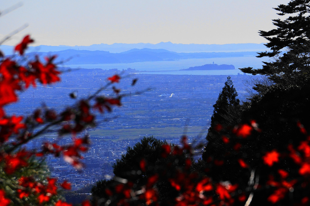 晩秋の大山寺！