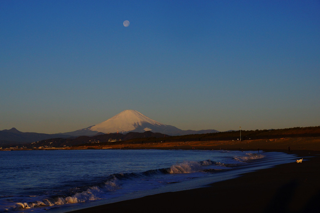 早春の富士！：茅ヶ崎海岸