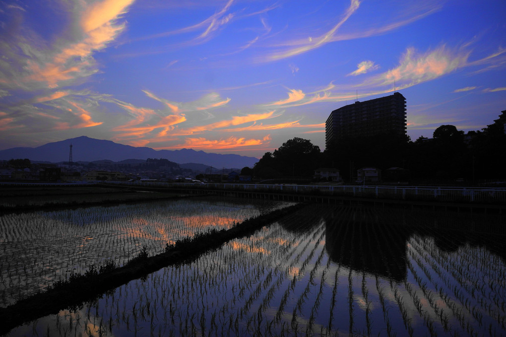 夕焼けに染まる！