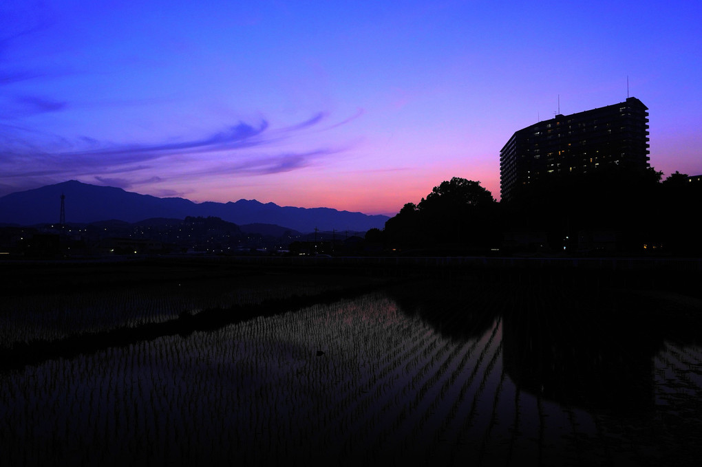 夕焼けに染まる！