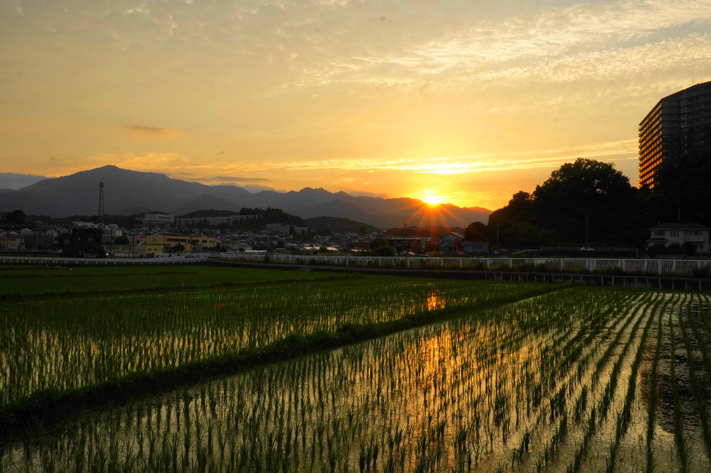 田園地帯のSUN ＳＥＴ！