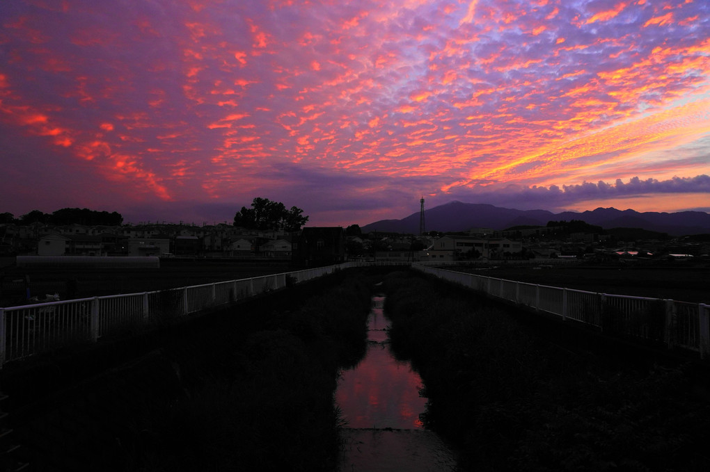 夕焼に染まる！(二番焼け）