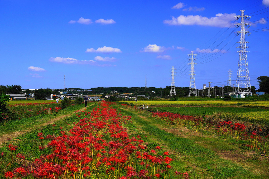 朱の遊歩道！