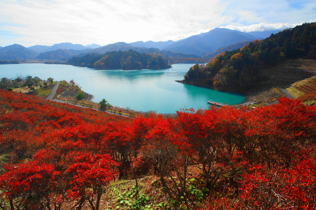 晩秋の宮ケ瀬湖！