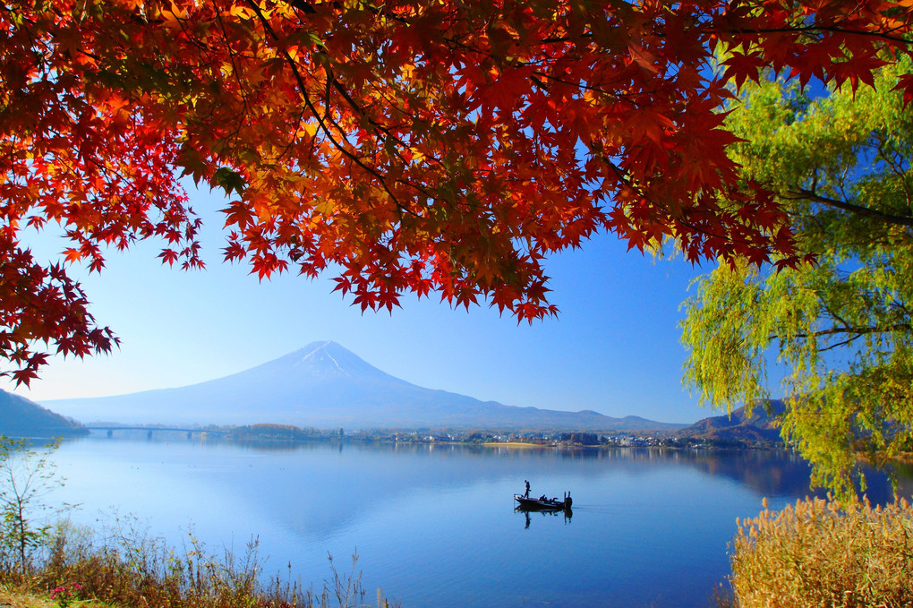 晩秋の富士！：河口湖