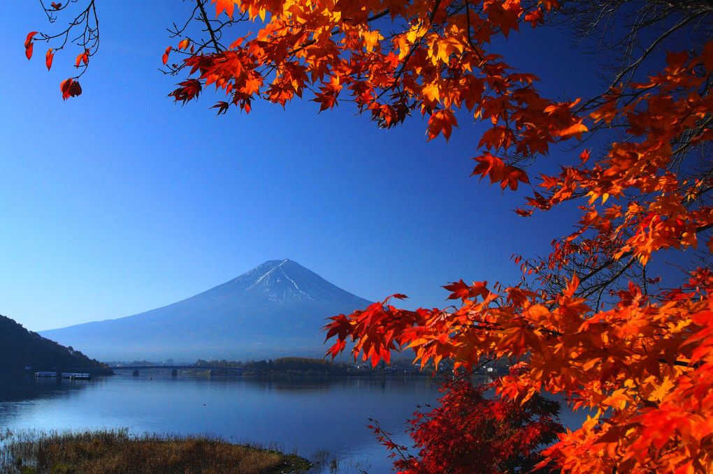 晩秋の富士！：河口湖：P2