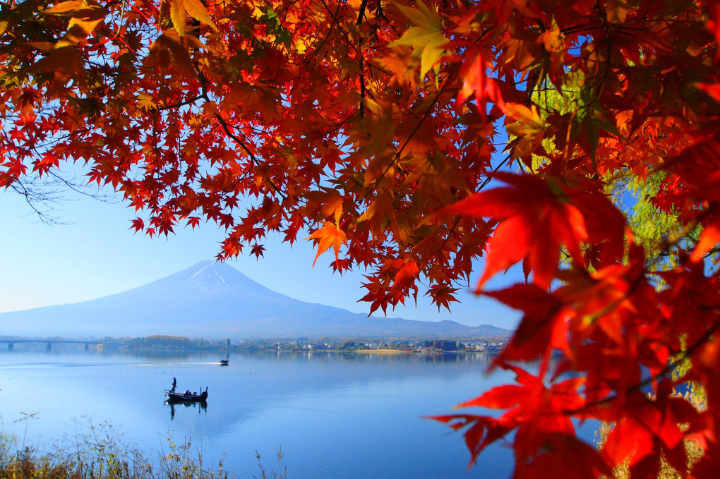 晩秋の富士！：河口湖：P2