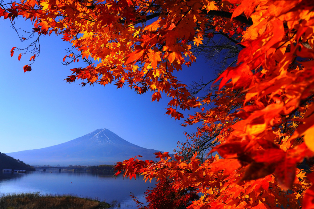 晩秋の富士！！：河口湖：P3