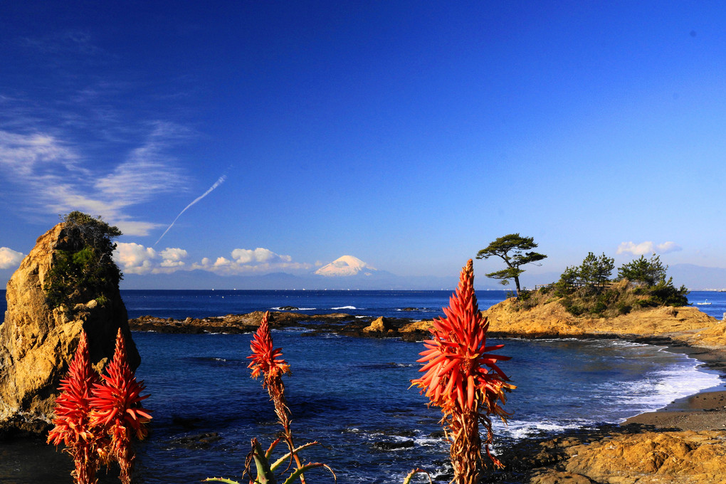 遠景富士：立石海岸