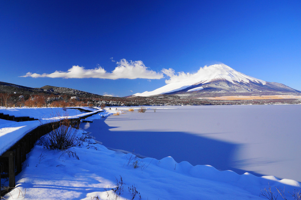 雪景色：山中湖