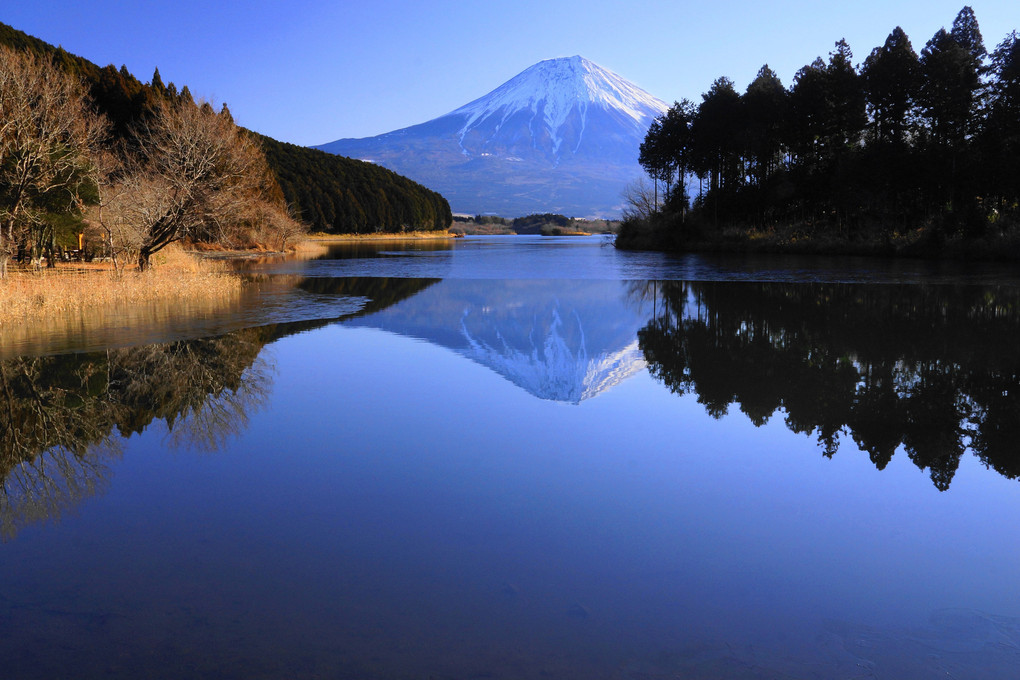 冬の富士！（2景）