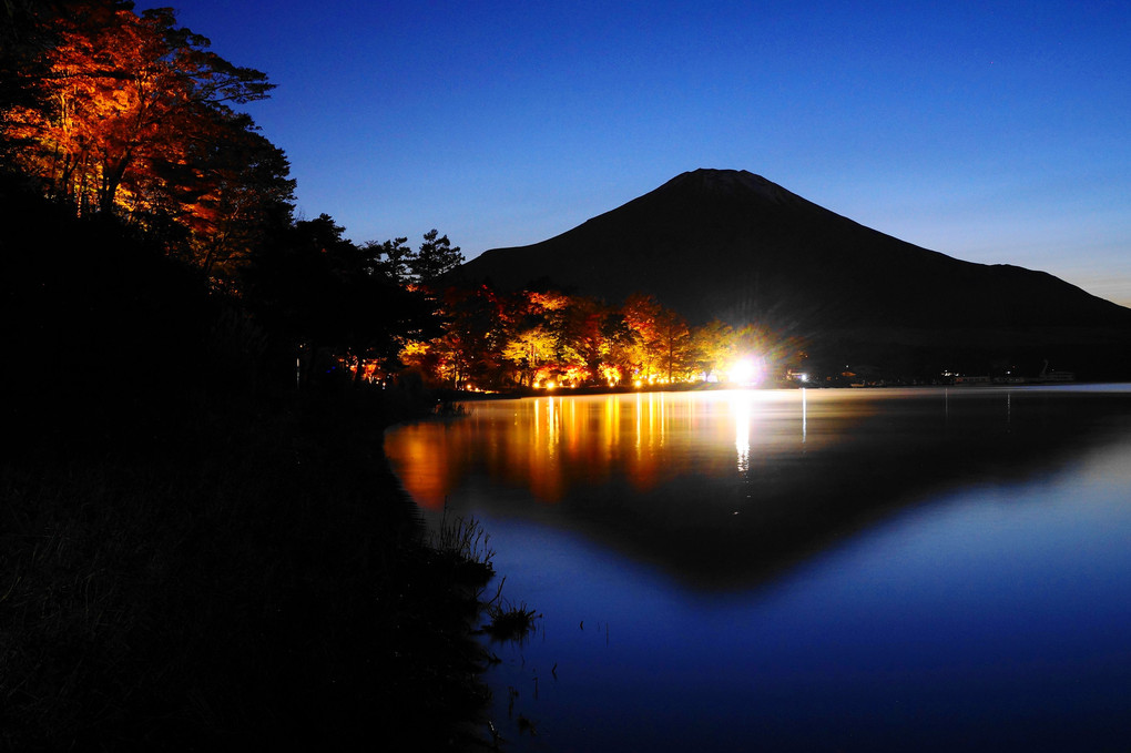 ライトアップ！：紅葉：山中湖