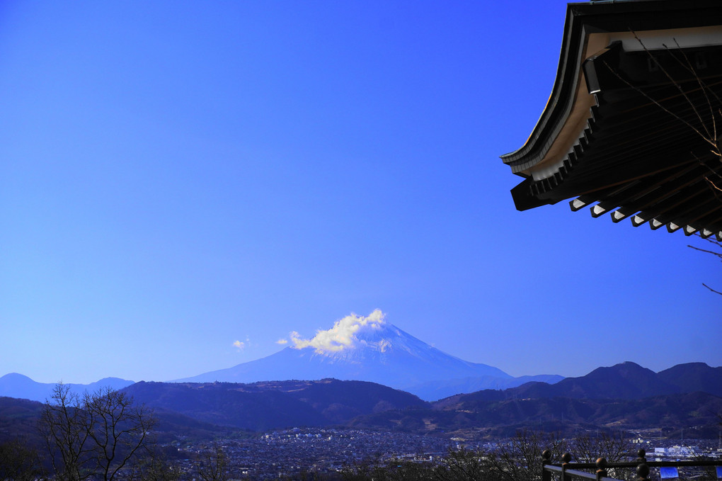 初冬の富士！：弘法山公園