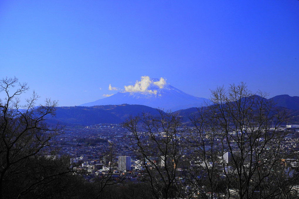初冬の富士！：弘法山公園
