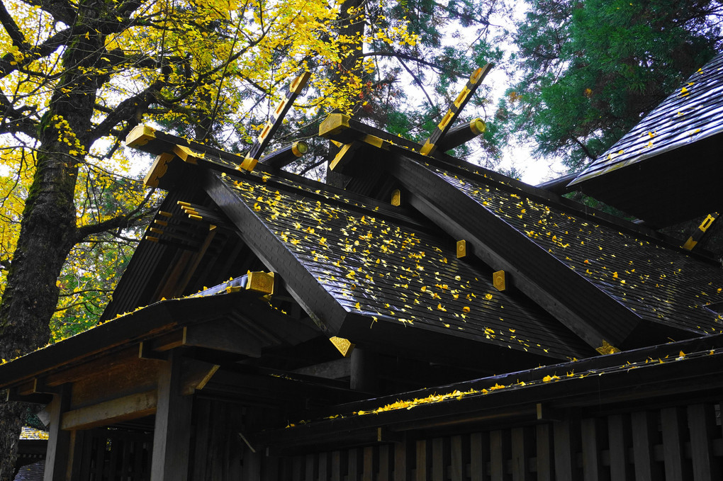 雨の天岩戸神社！：九州の旅（P13）