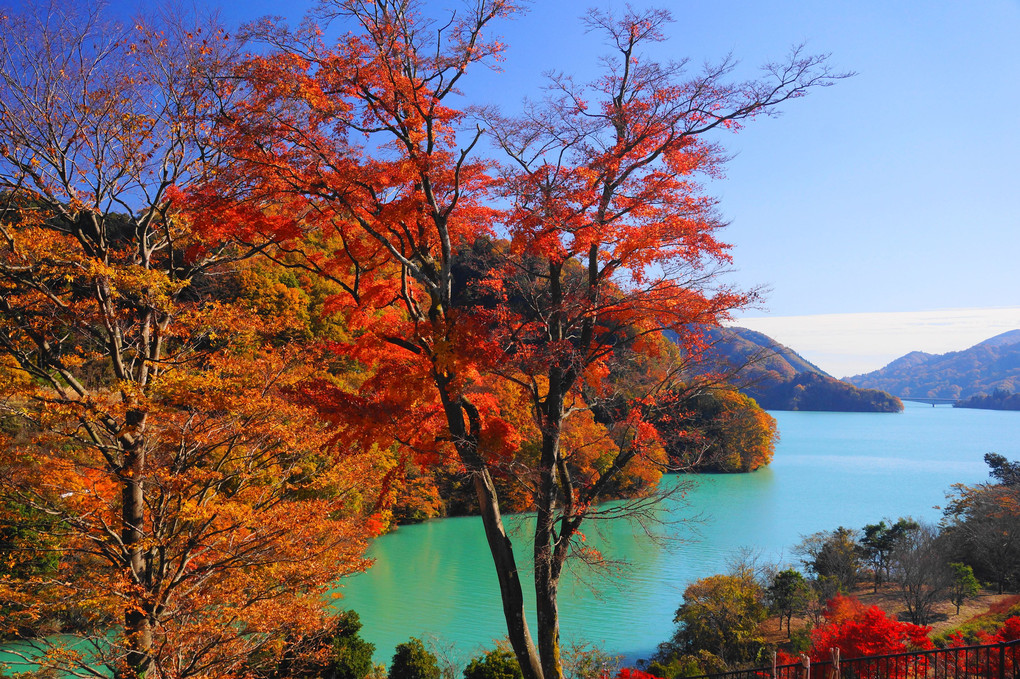 晩秋の宮ケ瀬湖！