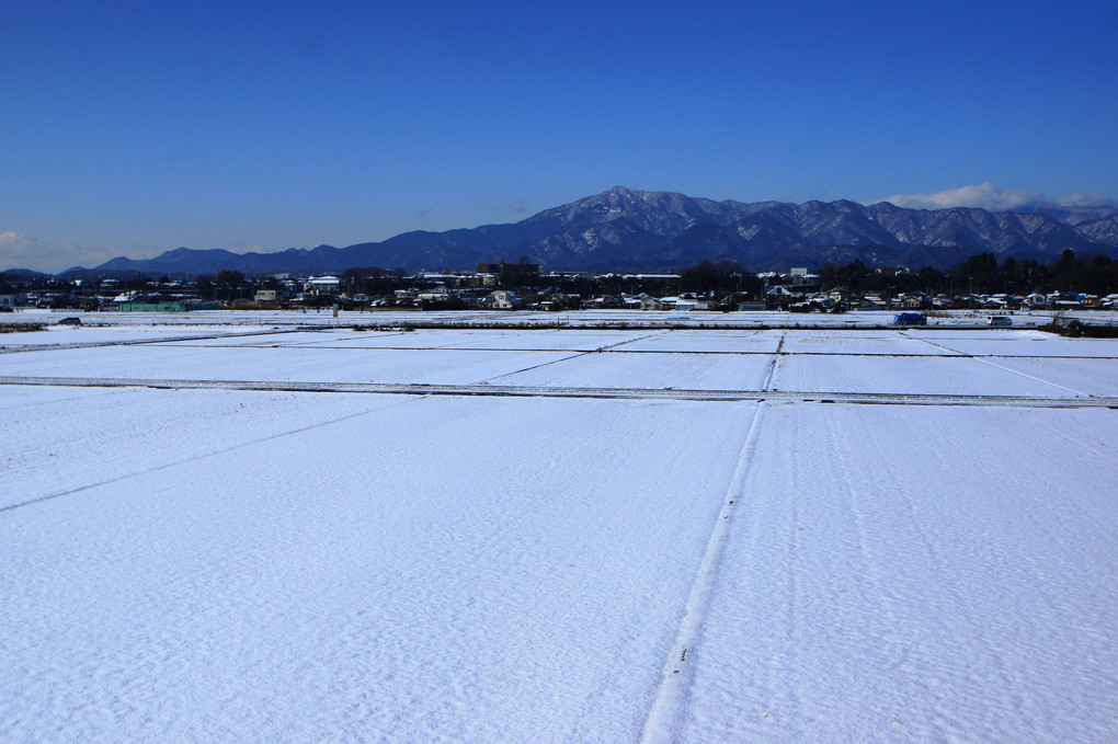 雪景色：丹沢連山（大山）