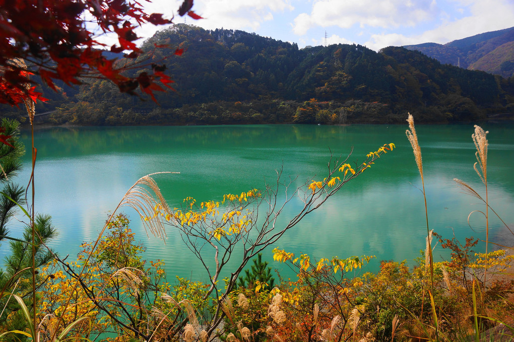 エメラルドブルーに映える！：丹沢湖