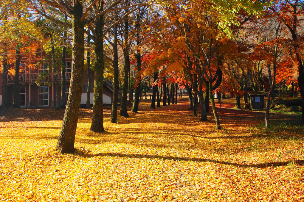 晩秋：ふれあいの村