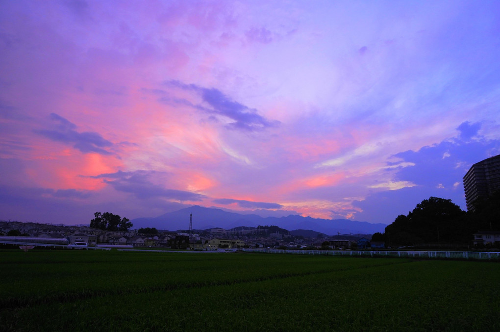 田園の夕景！