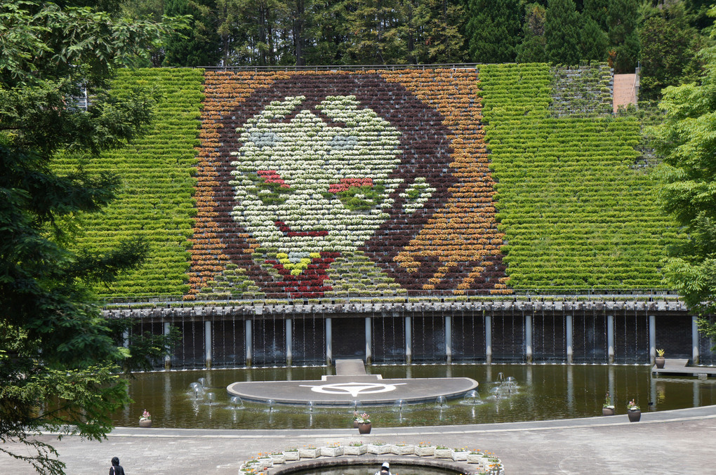 京都　宇治植物公園　散策