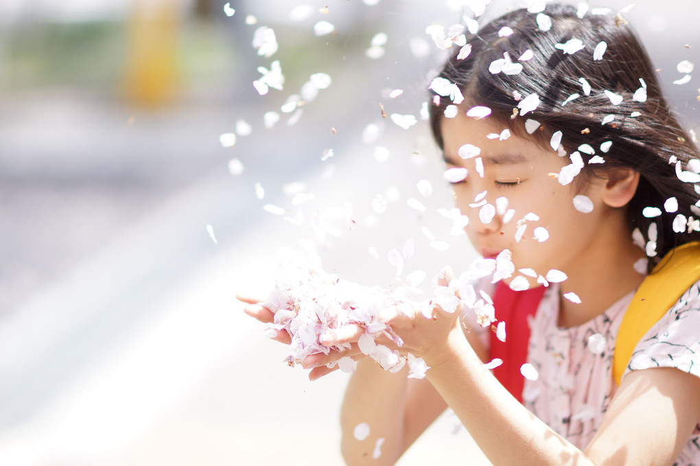 桜の天使Ⅲ