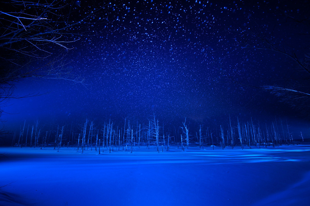 The Lighting Blue Pond