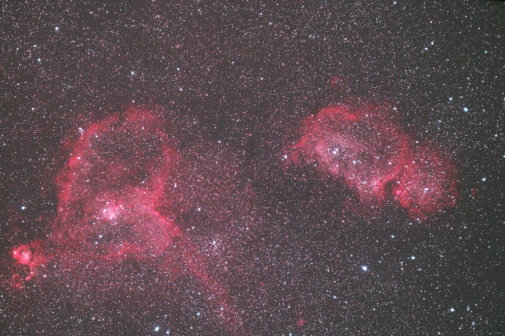 ハート星雲 IC1805 ＆ 胎児星雲 IC1848（散光星雲、カシオペヤ座）