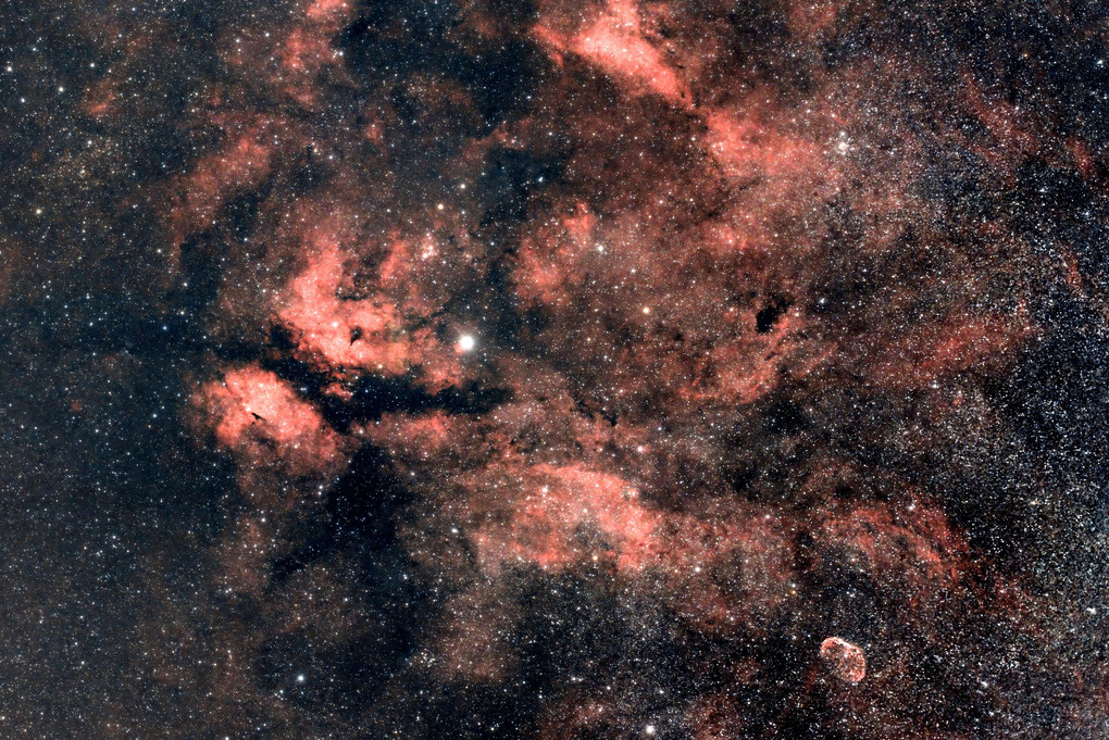 赤いモクモク雲～はくちょう座γサドル付近に広がる散光星雲群