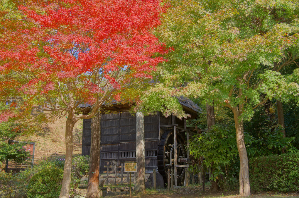 水車小屋と紅葉
