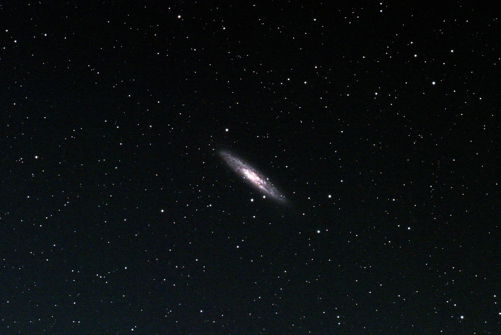 秋の銀河鉄道第四到着駅　ちょうこくしつ座NGC253銀河ステーション～1100万光年