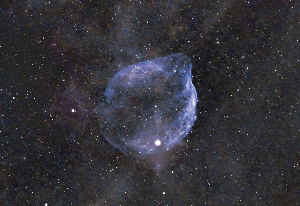 宙に顔を出しているイルカさん～Sh2-308　Dolphin Head Nebula