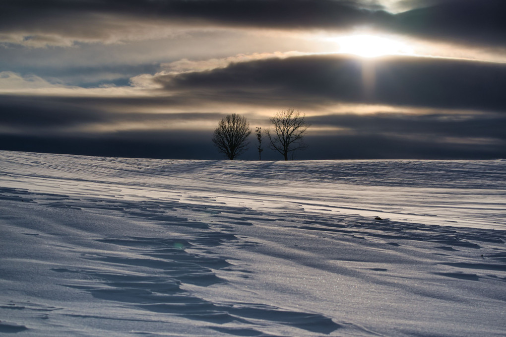 雪原の夕景