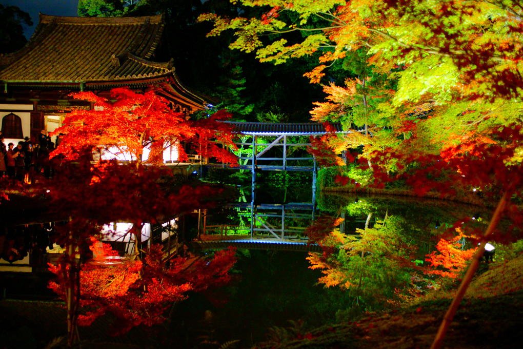 Autumn color　～高台寺～