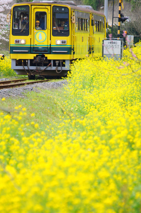 THE いすみ鉄道