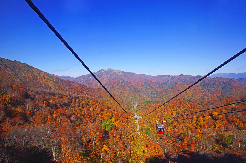 谷川岳トレッキング