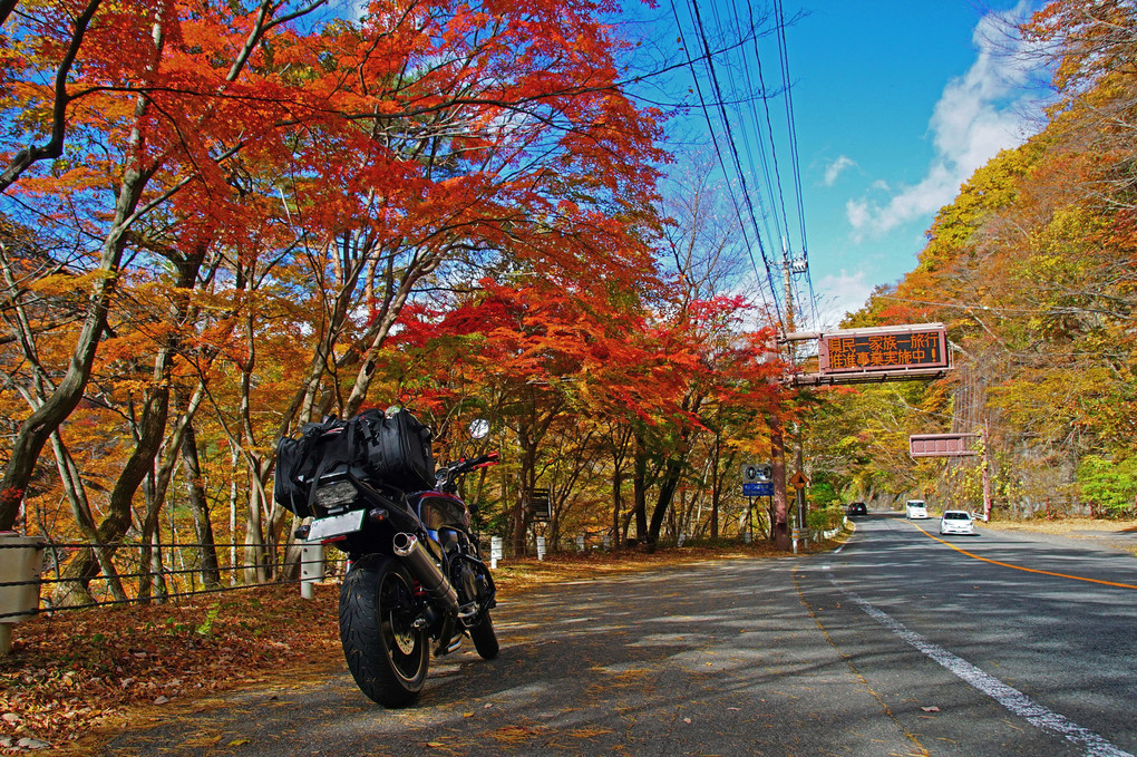 Ａutumn touring