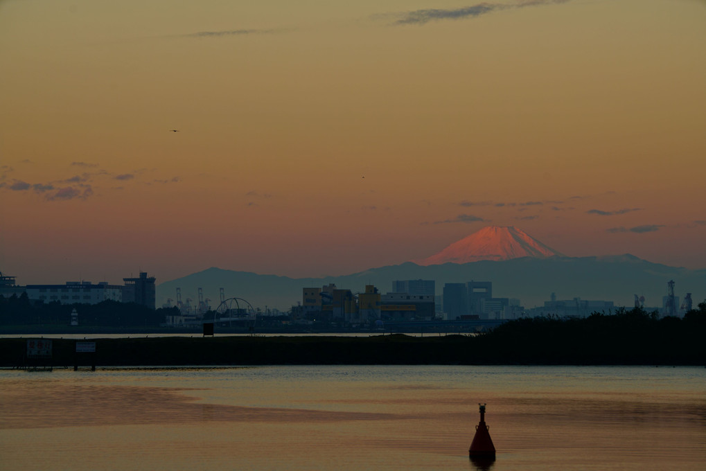 朝の風景、葛西臨海公園